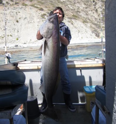 World Record Spotfin Croaker  Coastal Fishing Forums: AllCoast